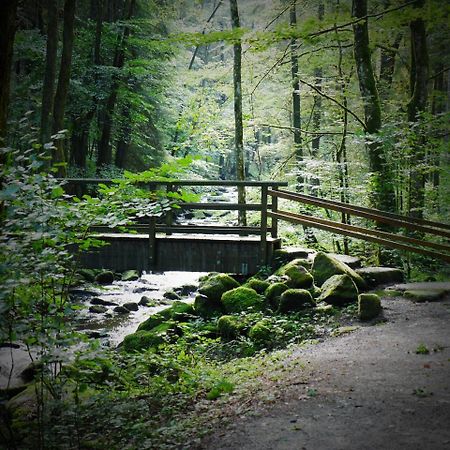 Fewo Kedo Neukirchen vorm Wald Luaran gambar