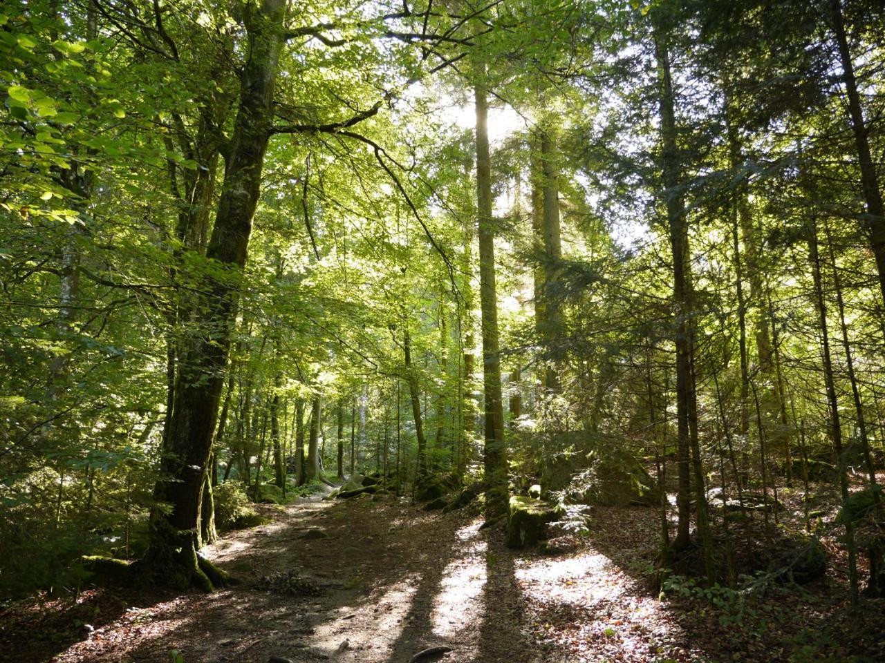 Fewo Kedo Neukirchen vorm Wald Luaran gambar