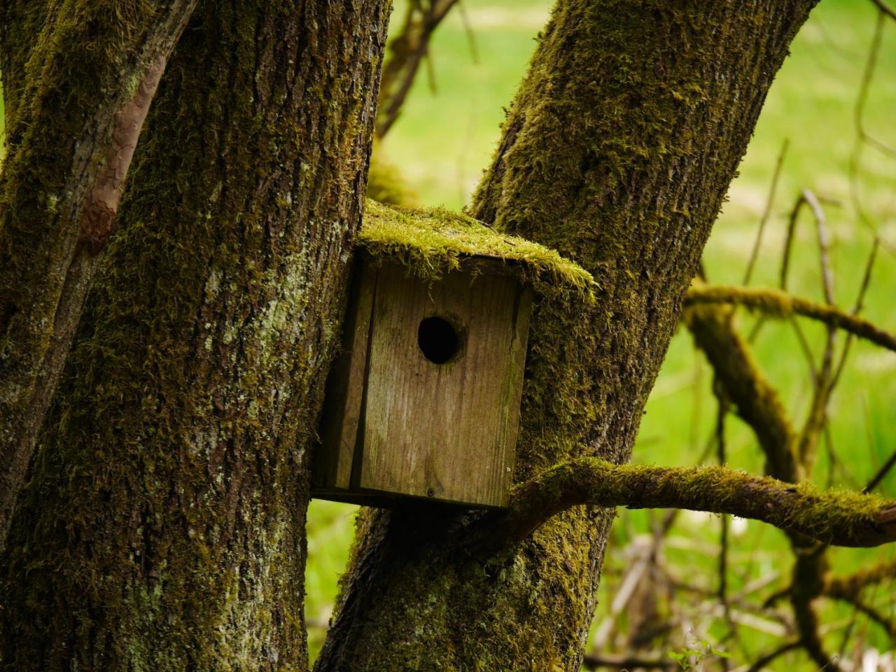 Fewo Kedo Neukirchen vorm Wald Luaran gambar