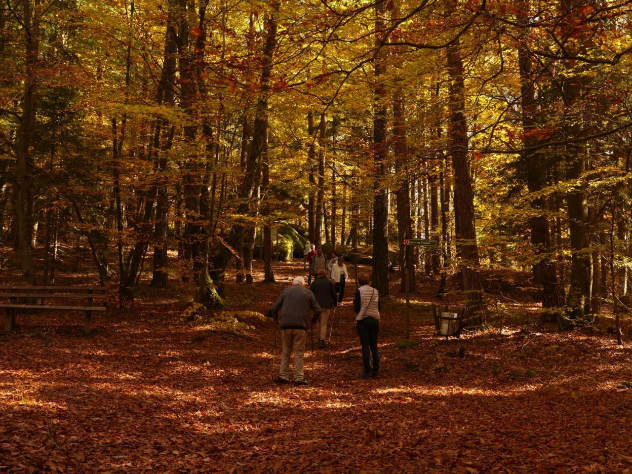 Fewo Kedo Neukirchen vorm Wald Luaran gambar